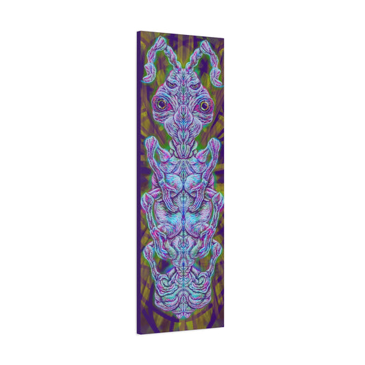 Plátno – InsectInSect